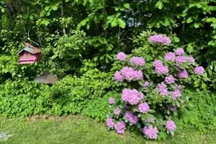137 Cedarwood Rd, Auburn, ME 04210 - Photo 56