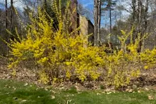 137 Cedarwood Rd, Auburn, ME 04210 - Photo 54