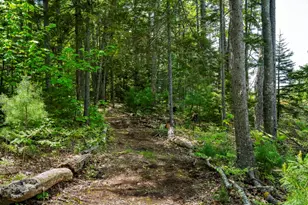 98 Meadow Cove Rd, Boothbay, ME 04544 - Photo 48