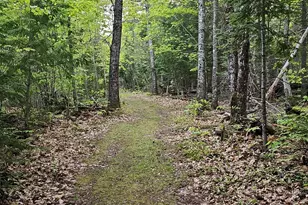 15 Phillips Rd, Glenburn, ME 04401 - Photo 40