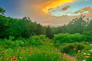 26 Squiers Aly, Nobleboro, ME 04555 - Photo 8