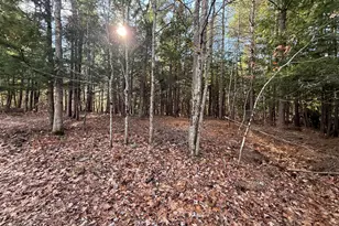 25-2 Mowry Ln, Newfield, ME 04076 - Photo 1