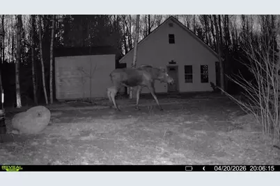 Off Route 192, Wesley, ME 04686 - Photo 42