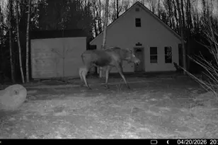 Off Route 192, Wesley, ME 04686 - Photo 42