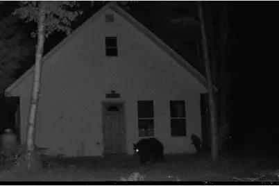 Off Route 192, Wesley, ME 04686 - Photo 46