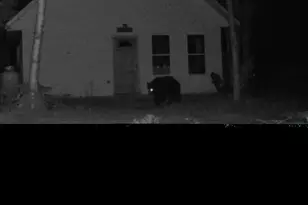 Off Route 192, Wesley, ME 04686 - Photo 46