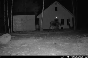 Off Route 192, Wesley, ME 04686 - Photo 44