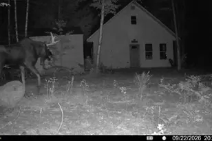 Off Route 192, Wesley, ME 04686 - Photo 1