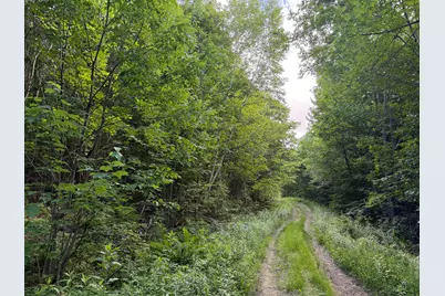 Map 10 Lot 1 Dow Brook Road, Peru, ME 04290 - Photo 4