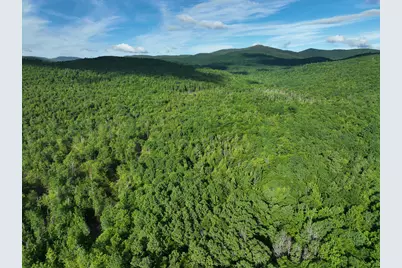 Map 10 Lot 1 Dow Brook Road, Peru, ME 04290 - Photo 14