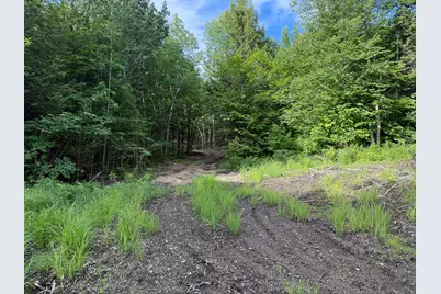 Map 10 Lot 1 Dow Brook Road, Peru, ME 04290 - Photo 6