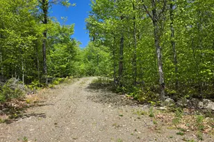 1 86 Lakeside Rd, T4 R3 Wels, ME 04747 - Photo 8