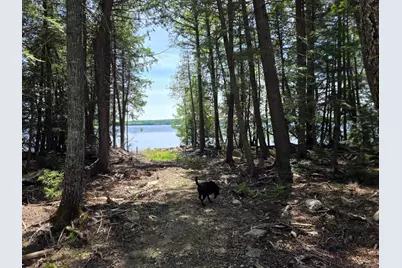 1.86 Lakeside Road, T4 R3 Wels, ME 04747 - Photo 12