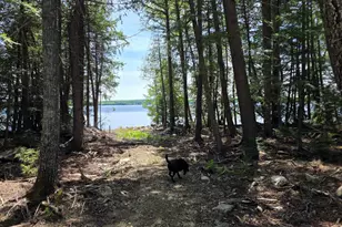 1 86 Lakeside Rd, T4 R3 Wels, ME 04747 - Photo 12