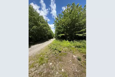 Lot 27 Lively Brook Acres, Whiting, ME 04691 - Photo 2