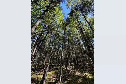 Lot 27 Lively Brook Acres, Whiting, ME 04691 - Photo 12