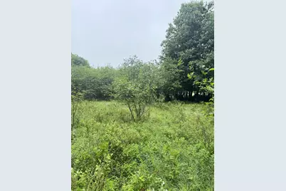 000 Williams Pond Road Road, Bucksport, ME 04416 - Photo 4