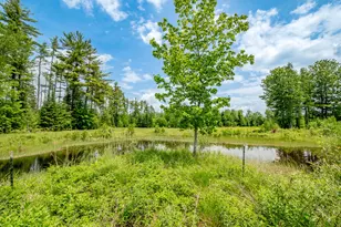 154 Merrills Mills Rd, Dover Foxcroft, ME 04426 - Photo 94
