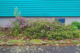 336 Rays Point Rd, Milbridge, ME 04658 - Photo 6