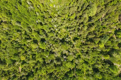 M24 L02,03,13 Wilderness Way, Bucksport, ME 04416 - Photo 16