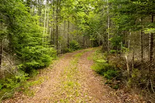 400 River Bnd Rd, Deblois, ME 04622 - Photo 34