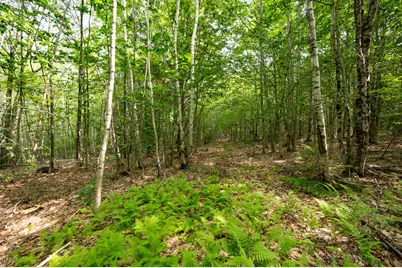 237-001 Hopper Road, Acton, ME 04001 - Photo 14