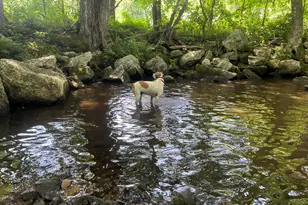 783 Paris Hill Rd, Paris, ME 04281 - Photo 56