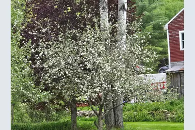 783 Paris Hill Road, Paris, ME 04281 - Photo 48