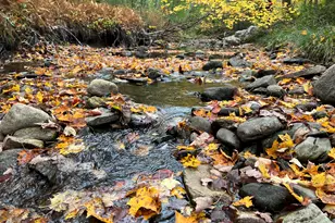 783 Paris Hill Rd, Paris, ME 04281 - Photo 54