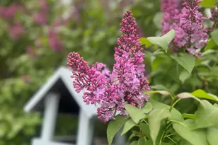 783 Paris Hill Rd, Paris, ME 04281 - Photo 54