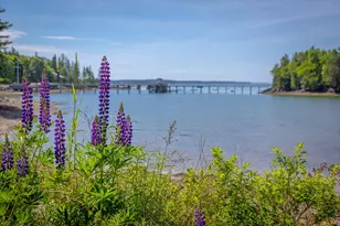 30 Neighborhood Road Northeast Harbor, Mount Desert, ME 04662 - Photo 50