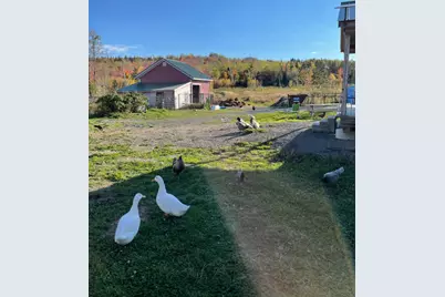108 Cyr Road, Grand Isle, ME 04746 - Photo 10