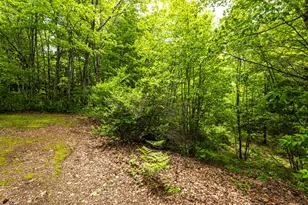 18 Cooks Mills Rd, Casco, ME 04015 - Photo 48