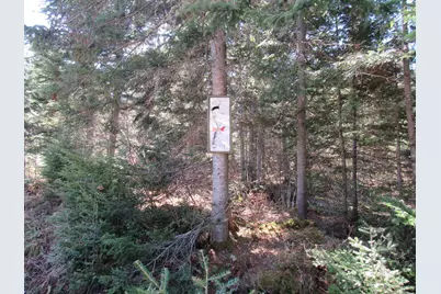 S0015 Push S0015 Pushard Lane #S0015 Push, Upper Enchanted Twp, ME 04945 - Photo 38