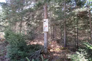 S0015 Push S0015 Pushard Ln, Upper Enchanted Twp, ME 04945 - Photo 38