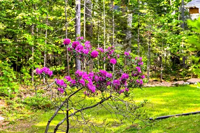 12 Alexander Drive, Rockport, ME 04856 - Photo 32