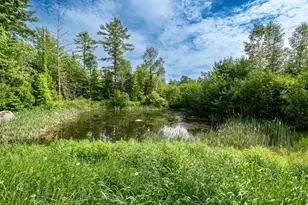26 Chadbourne Rd, Harmony, ME 04942 - Photo 80