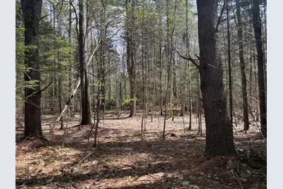 0 Hodsdon Road, Pownal, ME 04222 - Photo 4