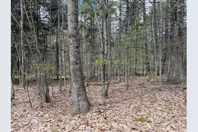 0 Hodsdon Road, Pownal, ME 04222 - Photo 2