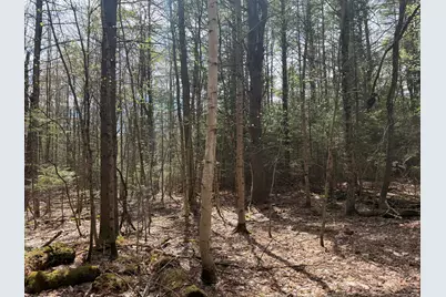 0 Hodsdon Road, Pownal, ME 04222 - Photo 6