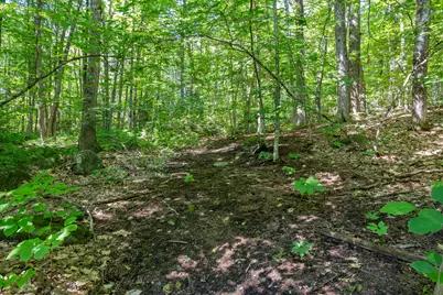 0 Stevens Cove Road, Bridgton, ME 04009 - Photo 30