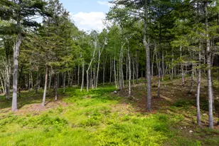 417 Lower Round Pond Rd, Bristol, ME 04539 - Photo 36
