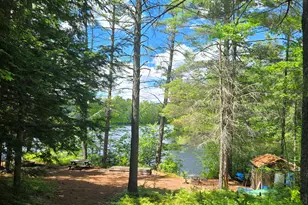 81 Swan Point, Hiram, ME 04041 - Photo 2