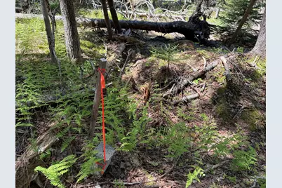 18/19C W West Bay Road, Islesboro, ME 04848 - Photo 18