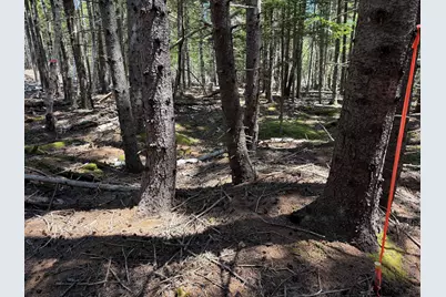 18/19C W West Bay Road, Islesboro, ME 04848 - Photo 20