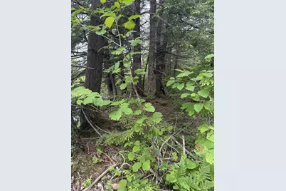 047-025 Cardinal Drive, Embden, ME 04958 - Photo 44