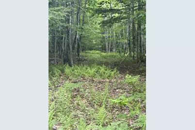 047-025 Cardinal Drive, Embden, ME 04958 - Photo 38