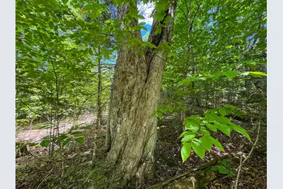 B Lookout Lane, Springfield, ME 04487 - Photo 14