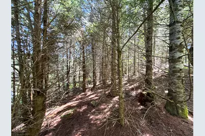 B Lookout Lane, Springfield, ME 04487 - Photo 32