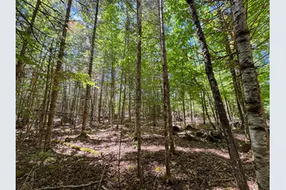 B Lookout Lane, Springfield, ME 04487 - Photo 12
